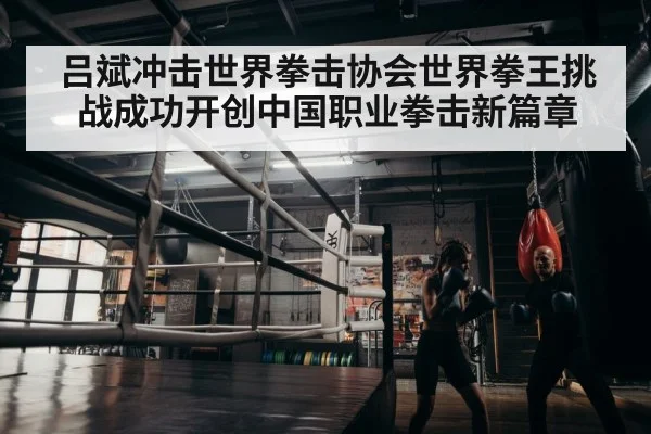 吕斌冲击世界拳击协会世界拳王挑战成功开创中国职业拳击新篇章